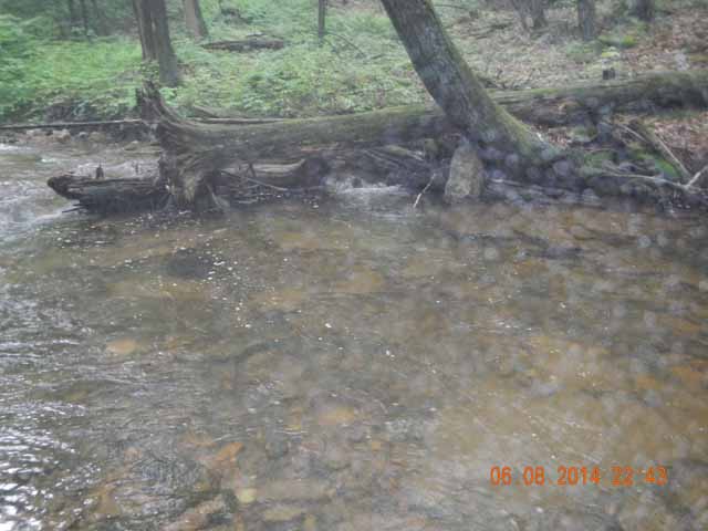 fowlers hollow.Laural run 06-09-14 030.jpg -                                